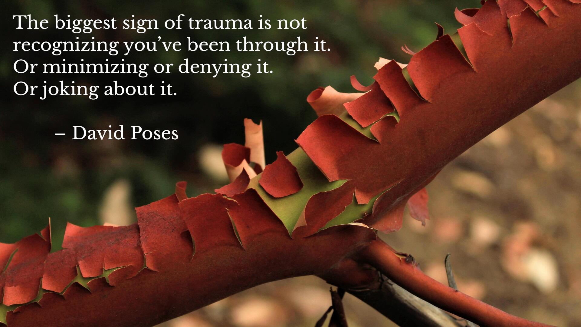 A rust red arbutus branch with peeling bark with a quote by david poses explaining signs of trauma for mental health