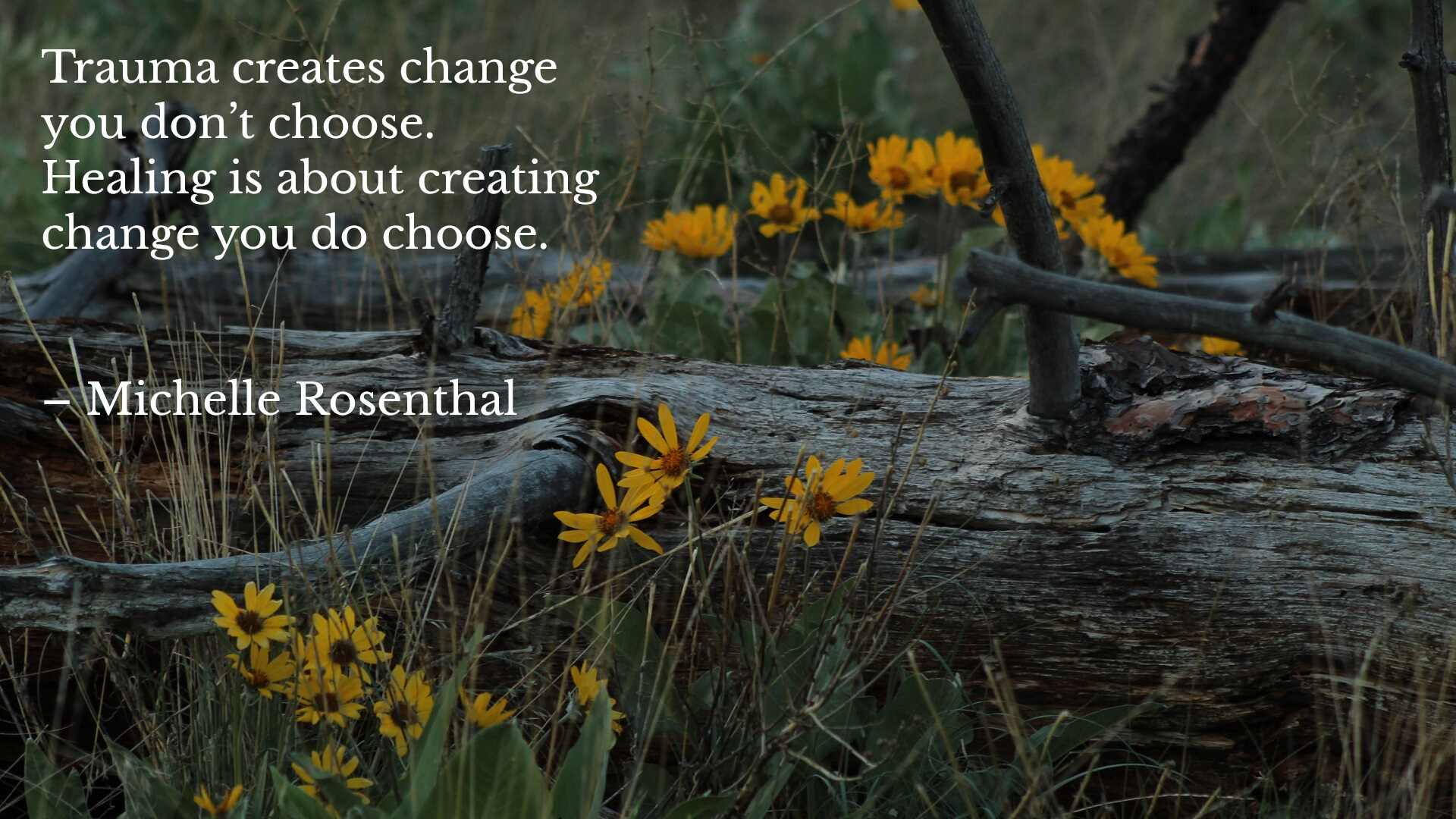 Black-eyed susan flowers surround an old log in tall grass in the morning light with a quote by Michelle Rosenthal about choice in trauma and healing mental health