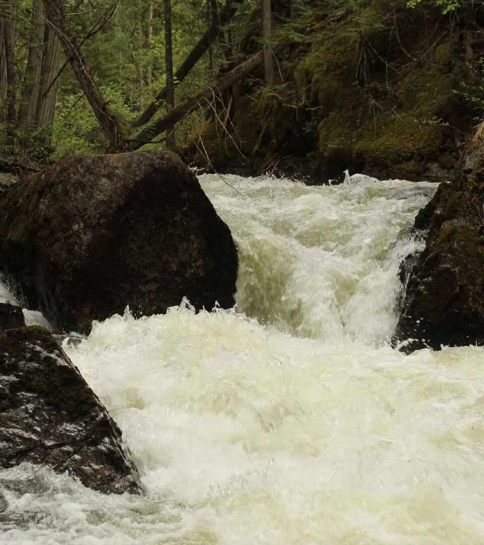 White rapids flow down a creek in a mossy forest allude to inner turmoil experienced when seeking therapy and processing trauma and grief