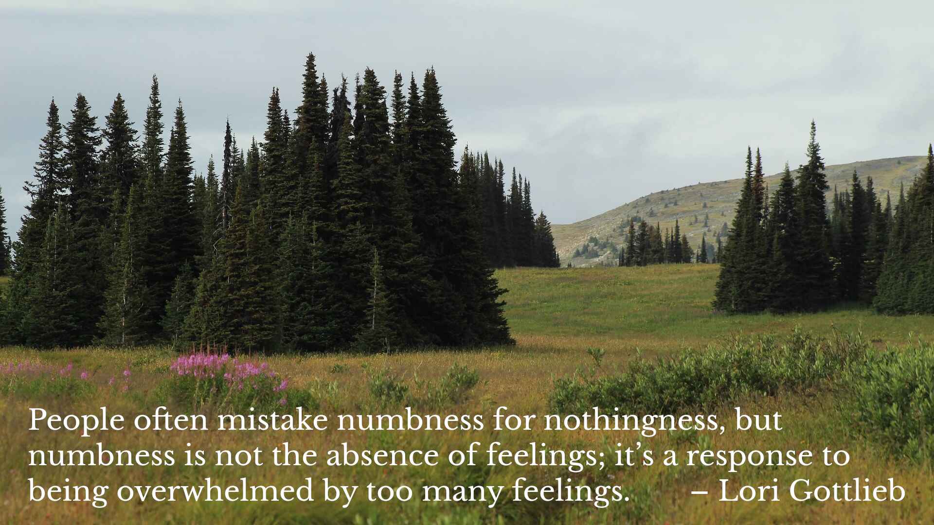 A sub alpine meadow atop rolling mountains with a quote by Lori Gottlieb explaining that mental numbness is a response to being overwhelmed